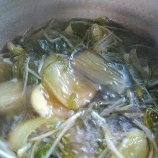 チンゲン菜と水菜のスープ